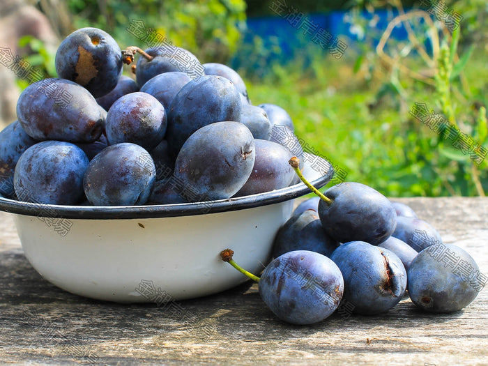 NUTRALLAX® prune essence